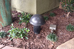 Don't eat this mushroom! It's an Episode landscape subwoofer that provides amazing bass for your backyard.