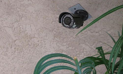 Surveillance Cameras